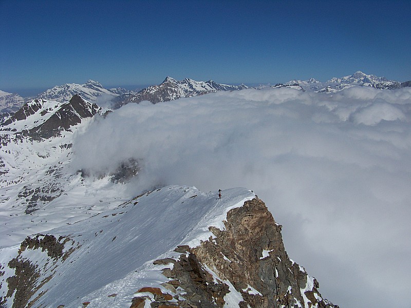#8 Levanna occidentale : Crête finale, superbe!
Les italiens se débarassent déjà de leurs nuages. Levanna occidentale : Crête finale, superbe!
Les italiens se débarassent déjà de leurs nuages.