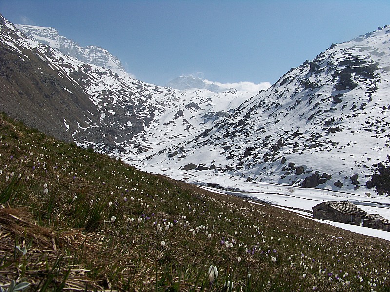 #2 La Duis : Sources de l La Duis : Sources de l'arc : la descente du deuxième jour