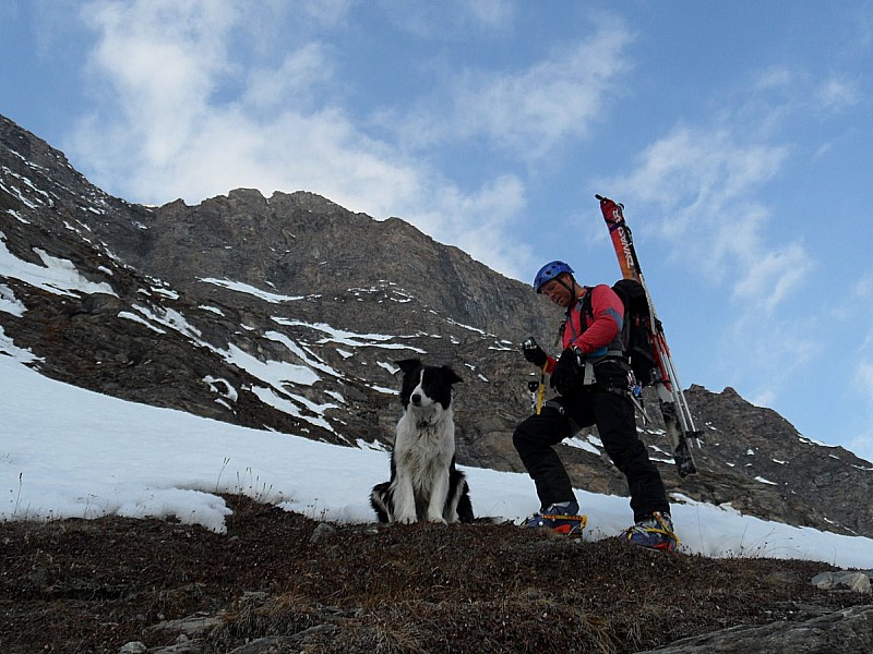 #7 David : l David : l'ami des bêtes !