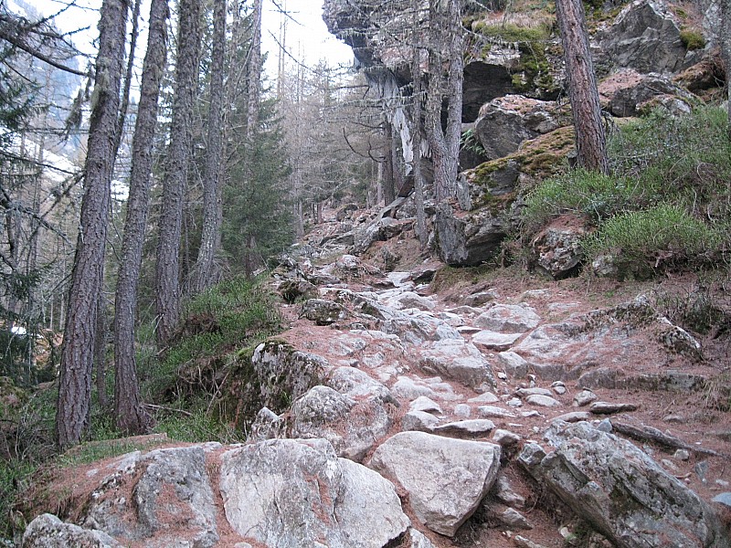 #1 le chemin : C le chemin : C'est toujours ce raidillon que je redoute