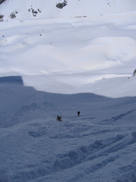#4 Poudreuse ! : On se fait plaisir dans le bas du couloir ! Poudreuse ! : On se fait plaisir dans le bas du couloir !