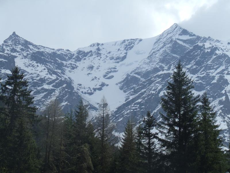 #13 Pointe de Vouasson : la Face vue du vallon en bas Pointe de Vouasson : la Face vue du vallon en bas