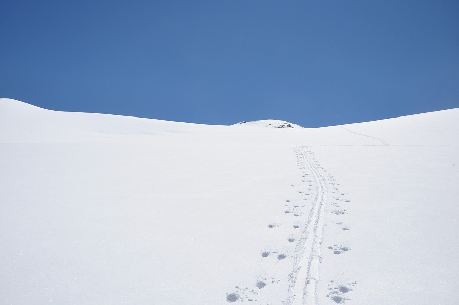 Longue montée : Dure dure la reprise/convalescence. L'espace semble se dilater et le sommet paraît toujours aussi loin...