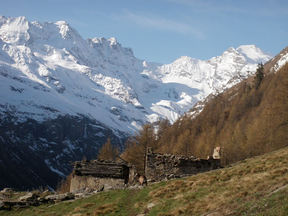 #1 magnifique montée : au refuge V.Sella magnifique montée : au refuge V.Sella