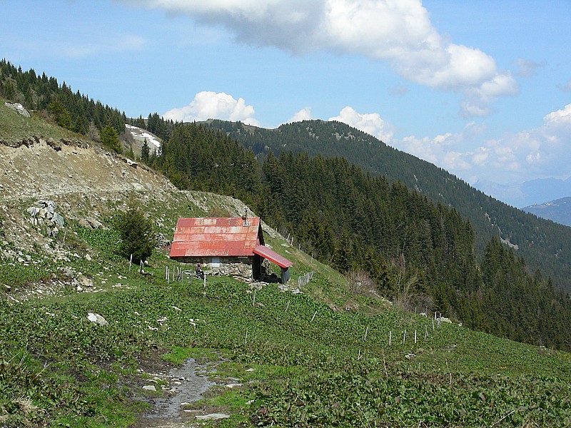 #14 Chalet du Pra : En quelques mètres, passage du blanc au vert! Chalet du Pra : En quelques mètres, passage du blanc au vert!