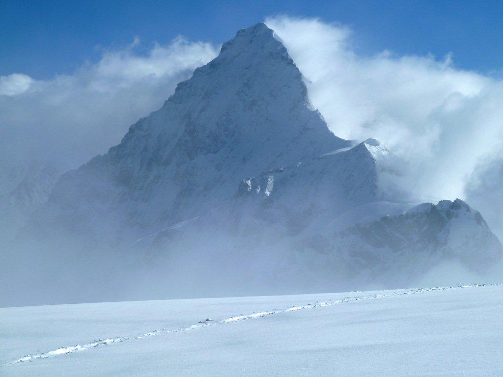 dent blanche : la totale