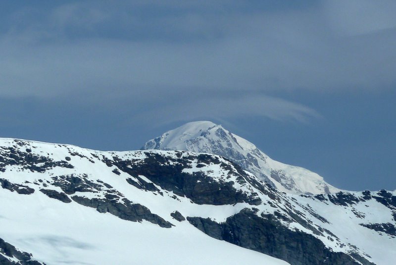 #5 Mt Blanc : Un petit âne sur le Mt Blanc Mt Blanc : Un petit âne sur le Mt Blanc