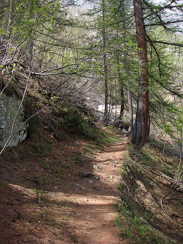 #5 Clapouse : Le sentier d Clapouse : Le sentier d'été