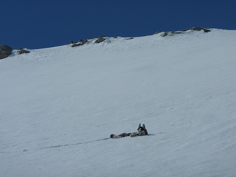 #7 Au repos : Petite sieste improvisée Au repos : Petite sieste improvisée