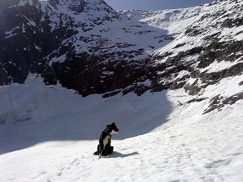 #2 Grand Armet : Cherko devant le petit glacier de l Grand Armet : Cherko devant le petit glacier de l'Armet