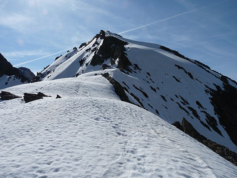 #3 La cime Est de Fenestre. : Et sa créte. La cime Est de Fenestre. : Et sa créte.