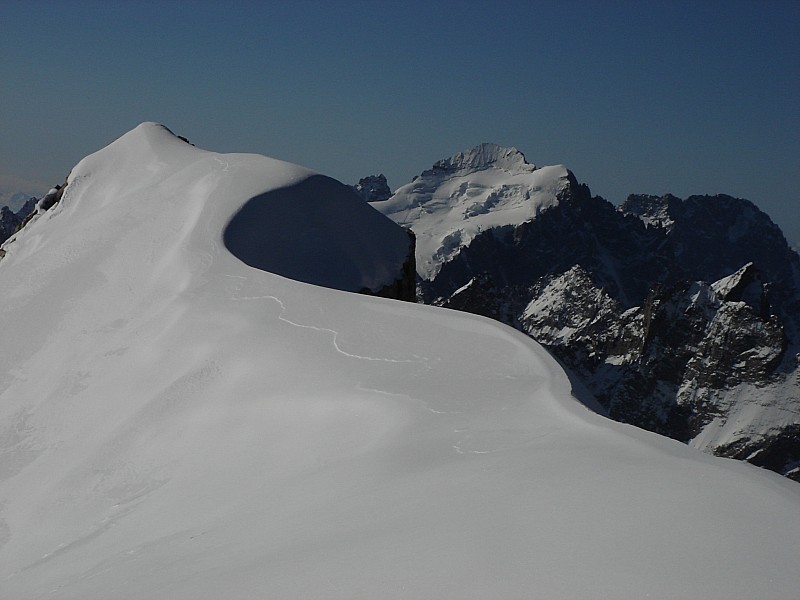 #11 Barre des ecrins : La barre des Ecrins dans toute sa splendeur depuis le sommet... Barre des ecrins : La barre des Ecrins dans toute sa splendeur depuis le sommet...
