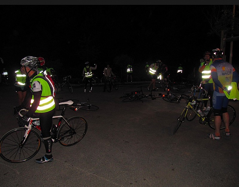 #14 Pause pipi au rond point : Pause pipi au rond point du bois Pause pipi au rond point : Pause pipi au rond point du bois