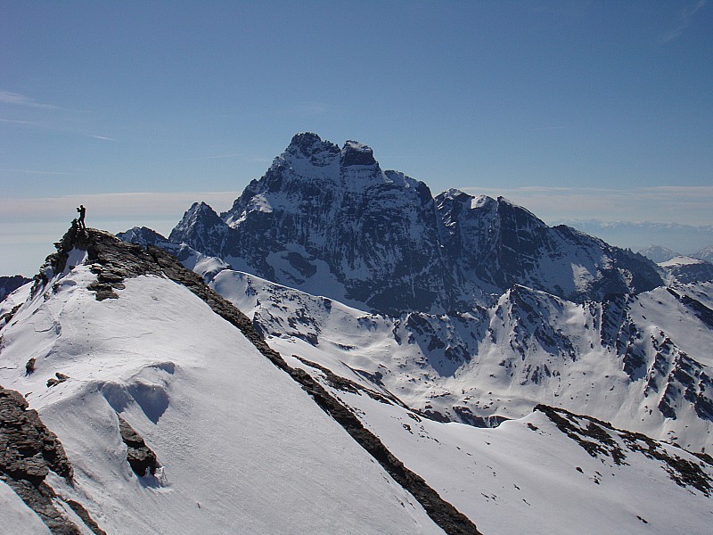 #7 Asti : Le chamois du jour ! Asti : Le chamois du jour !