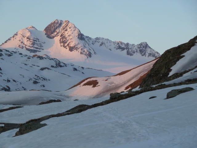 #1 Grand sauvage : Eclairage du matin Grand sauvage : Eclairage du matin