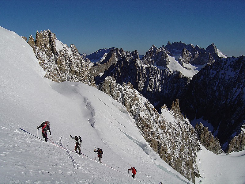#4 Vue sur le col des écrins : mes compagnons du jours. Vue sur le col des écrins : mes compagnons du jours.