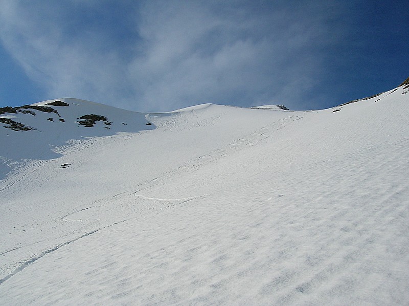 #7 trace : traces... un régal !! trace : traces... un régal !!