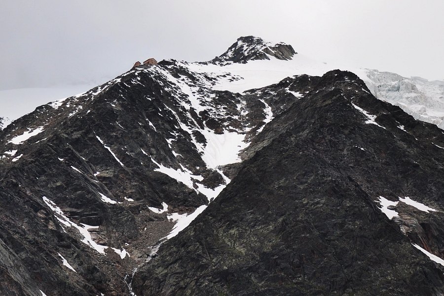 #2 Mischabelhütte : C Mischabelhütte : C'est là-haut, avec tout cette méchante arête du Schwarzhorn à grimpouiller