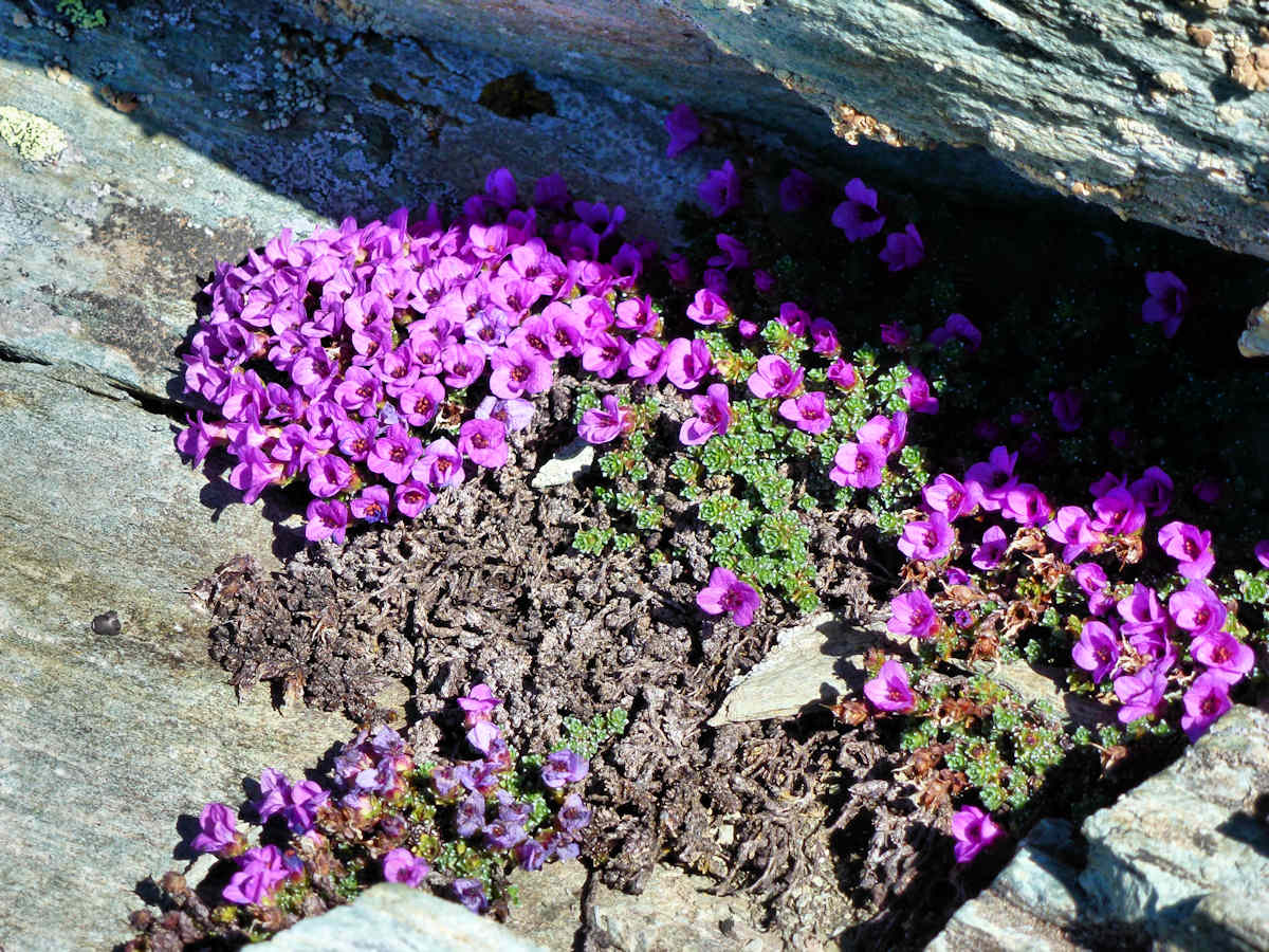 #15 Un peu de couleur : Dans cet univers minéral. Un peu de couleur : Dans cet univers minéral.