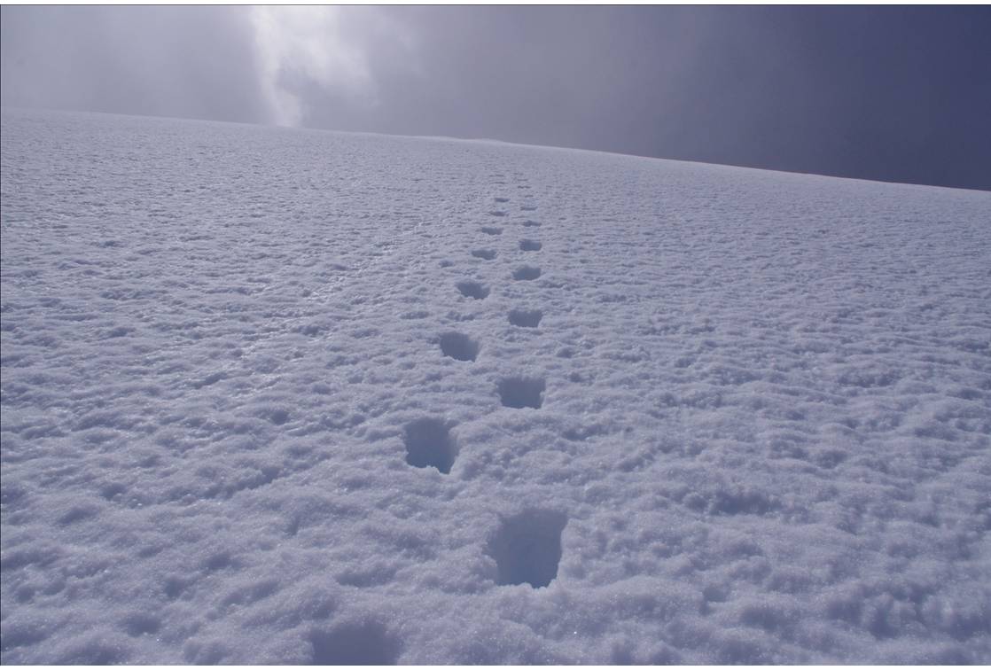 #11 Esthétique de la face : Une trace en crampons, d Esthétique de la face : Une trace en crampons, d'un très grand plaisir à réaliser, à la montée et à la descente, dans un 50° bien tassé... mais que l'enneigement compact présente comme un 30°!
