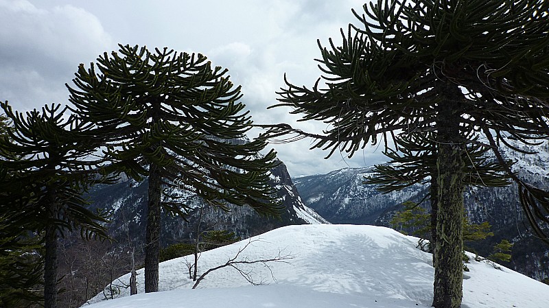 Sommet : Depuis le sommet du Cerro Mirador