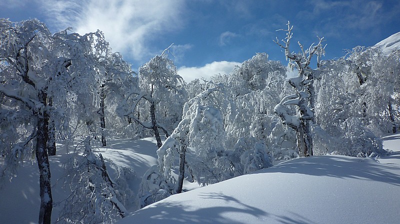 #2 Départ : Paysages de toutes beauté Départ : Paysages de toutes beauté