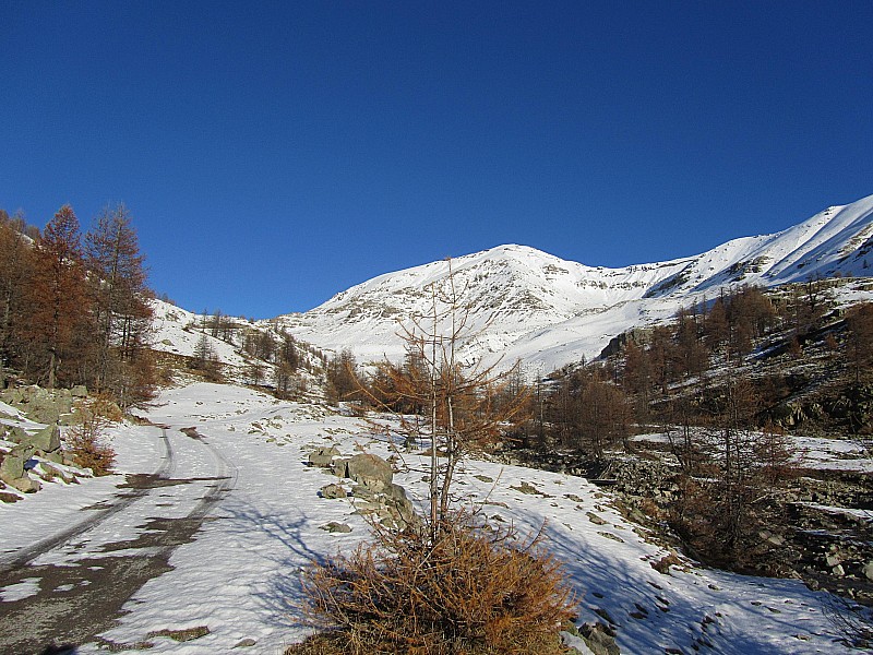 #2 Tête Ronde de l Tête Ronde de l'Escuzier : Départ sur la route de la Moutière