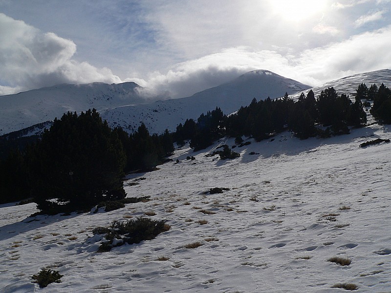 #3 Puigmal de Llo : A la sortie de la forêt . Puigmal de Llo : A la sortie de la forêt .