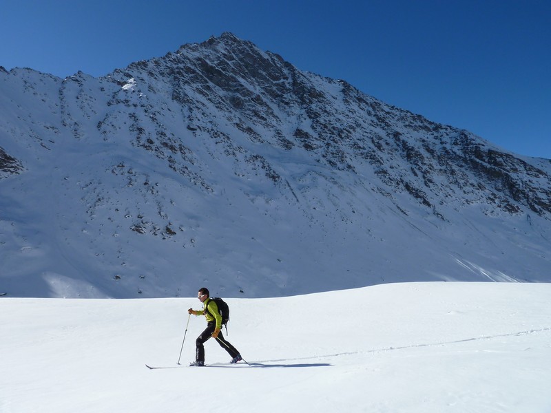 #4 Scolette : A la demande générale de Shama Scolette : A la demande générale de Shama