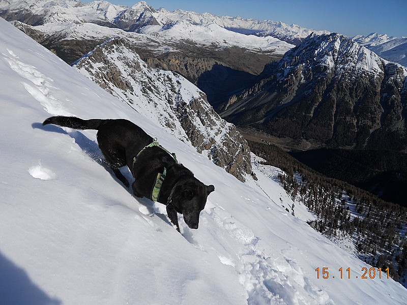 #5 Grand Peygu : Vue sur le Laus et le Lasseron. Grand Peygu : Vue sur le Laus et le Lasseron.