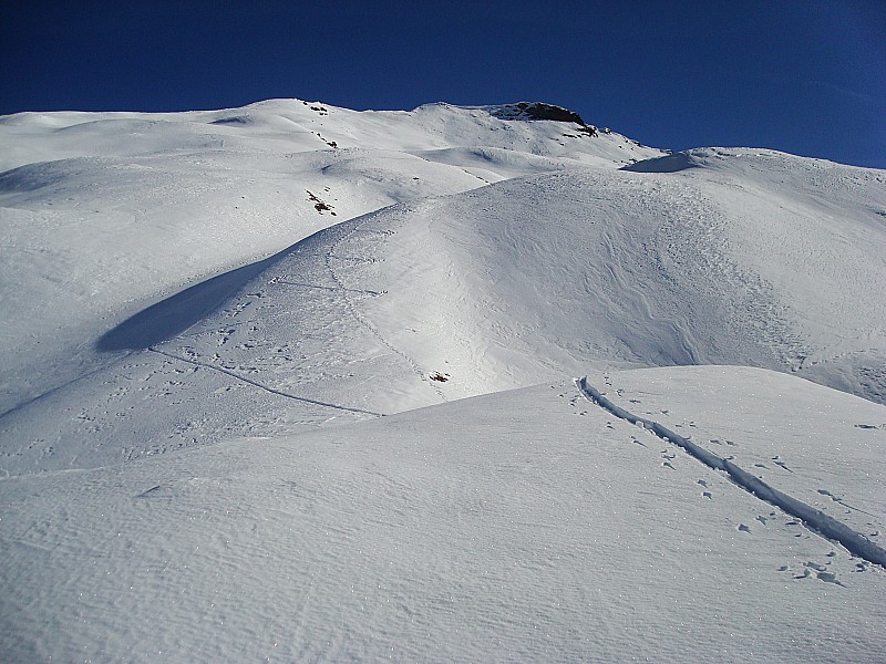 #3 cime du grand vallon : sous la belle plinier cime du grand vallon : sous la belle plinier