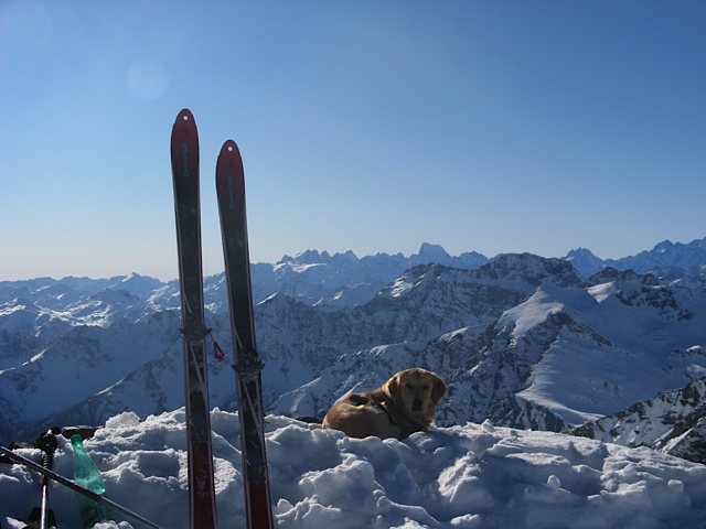 #1 la reine des écrins : Une première en montagne pour fidji la reine des écrins : Une première en montagne pour fidji