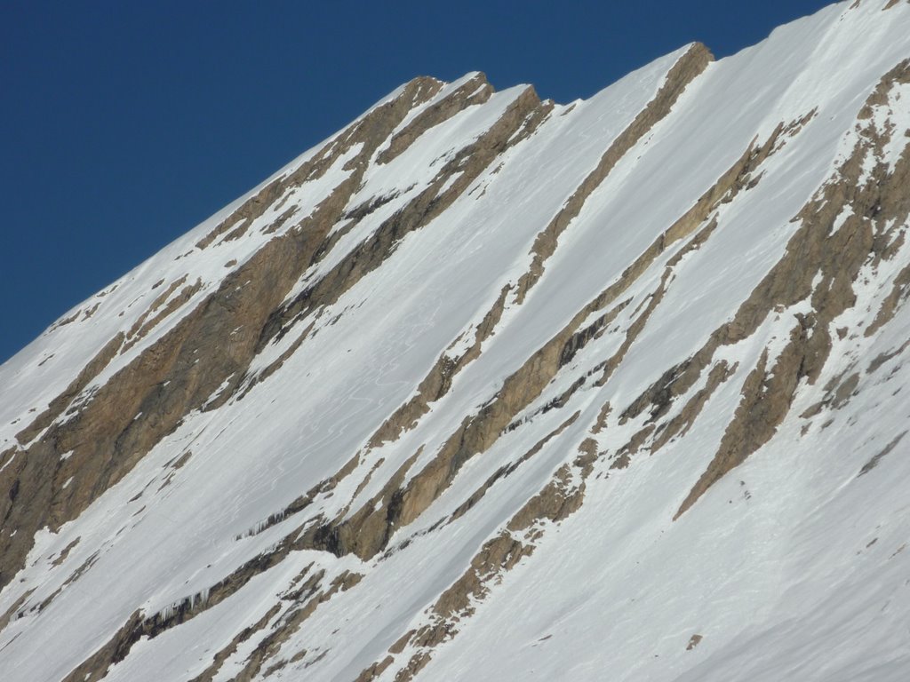 #9 Taillante : Incisions sur la taillantes ce jour Taillante : Incisions sur la taillantes ce jour