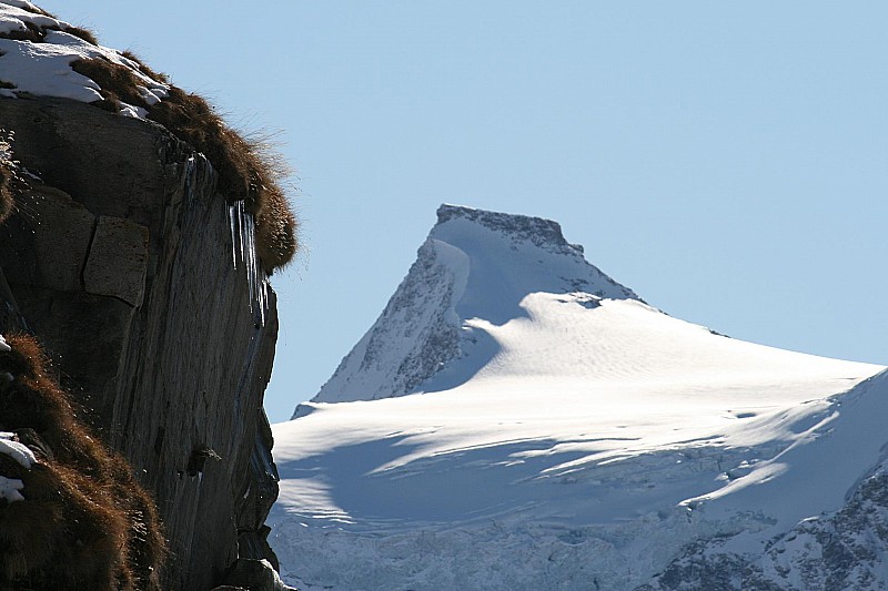 #1 Albaron : L Albaron : L'Albaron salue Mario Monti, le "technicien" au dessus de tout soupçon d'accointance mondialiste, ex conseiller de Goldman Sachs, membre de la Trilatérale et cadre du Bilderberg.