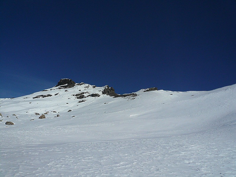 #7 La belle plinier sur la G La belle plinier sur la G