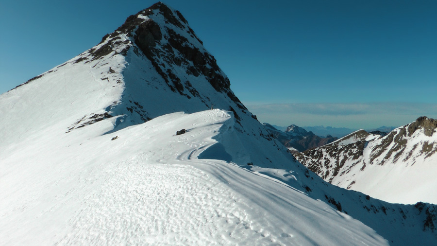 #14 2980m : le Pelat vu de son arrête Est, on est tout proche 2980m : le Pelat vu de son arrête Est, on est tout proche