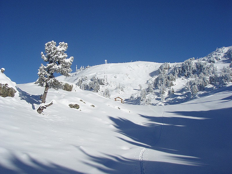 #12 chamrousse : sympathique ces deux petites croix qui ouvrent la saison, même qu chamrousse : sympathique ces deux petites croix qui ouvrent la saison, même qu'il y avait rtl au bas des pistes pour une petite interview...!