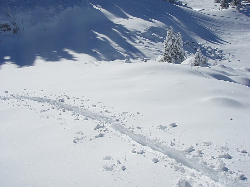 #10 chamrousse : aujourd chamrousse : aujourd'hui ça passait sans les skis-cailloux