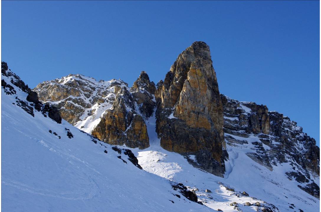 #9 Majesté : Grande et belle allure du Cheval Blanc, majestée de la nature! Majesté : Grande et belle allure du Cheval Blanc, majestée de la nature!