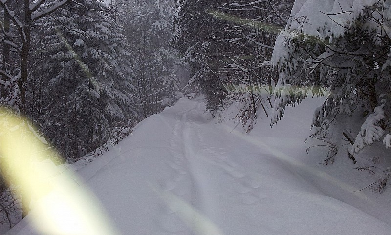 #1 Dans les bois : La photo n Dans les bois : La photo n'est pas top mais ça vous donne une idée de la quantité de neige.