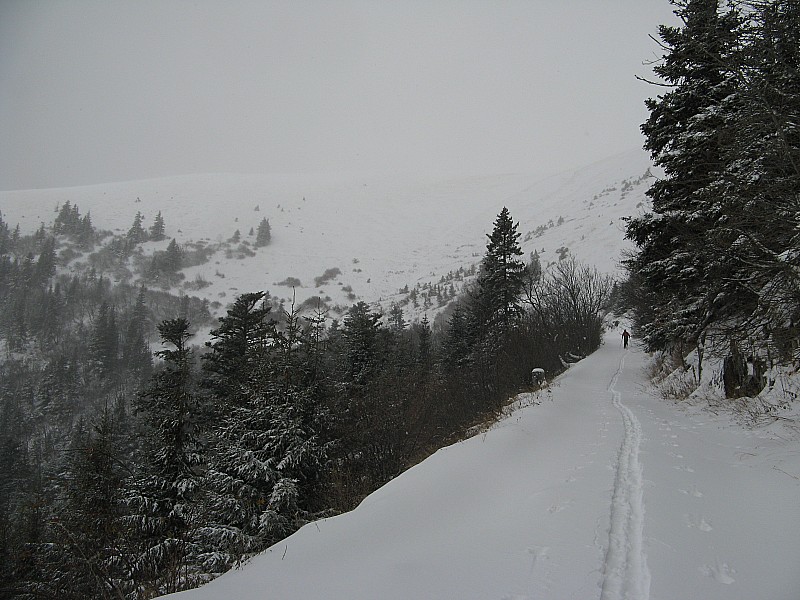 #1 piste forestiere : Vers la croix de gouret piste forestiere : Vers la croix de gouret