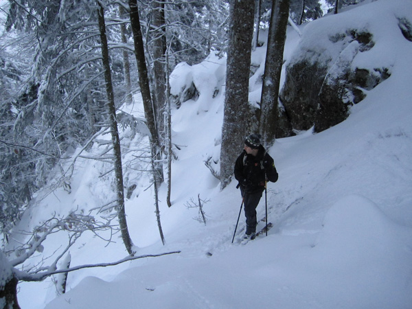 Rocher du Gouffre : Cheminement entre barres et végétation dans un pur style vosgien