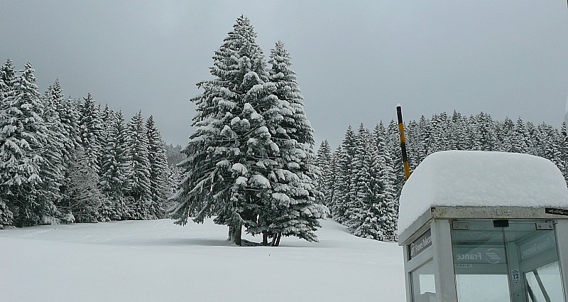 #6 Info Nivo : Environ 50 cm ce matin au Planolet Info Nivo : Environ 50 cm ce matin au Planolet