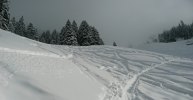 #15 Eclaircie furtive : Vers 14h, en remontant la Combe de l Eclaircie furtive : Vers 14h, en remontant la Combe de l'Ours