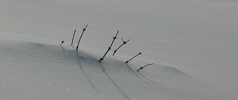 #16 Neige de rêve : Une poudre légère, 5 * Neige de rêve : Une poudre légère, 5 *