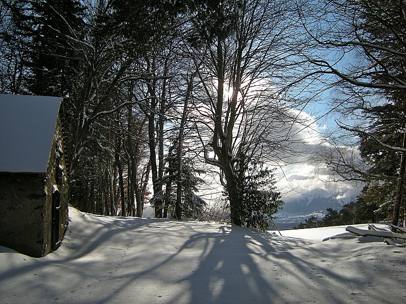 #3 Ferme des Bruyeres : Pause au soleil Ferme des Bruyeres : Pause au soleil