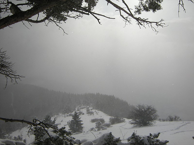 #4 Crete Sud : Sortie des bois, grosse épaisseur de neige. Crete Sud : Sortie des bois, grosse épaisseur de neige.