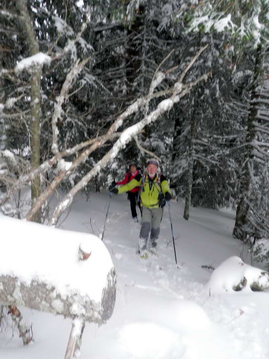 #5 Sous bois : En forêt c Sous bois : En forêt c'est plus calme!