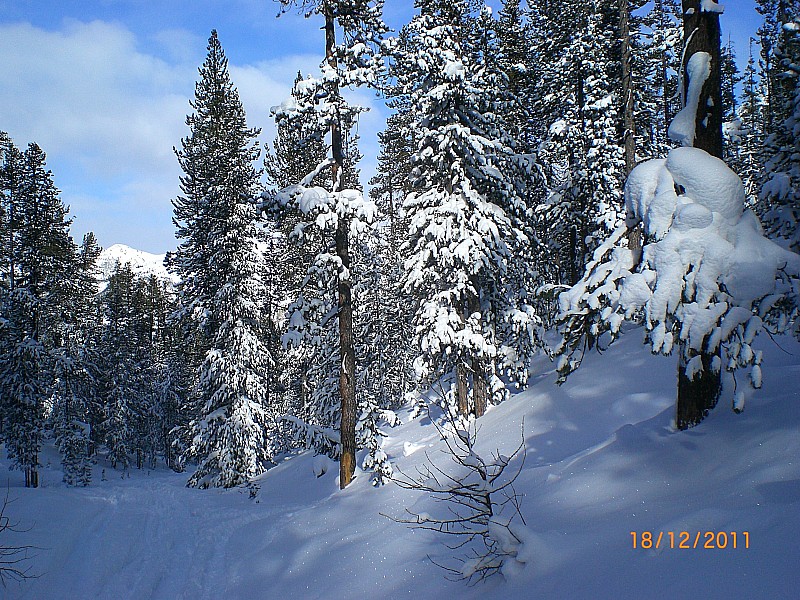 #3 Bois de Péméant : Belle ambiance de Noël dans le bois.
Il manque juste les boules ... Bois de Péméant : Belle ambiance de Noël dans le bois.
Il manque juste les boules ...