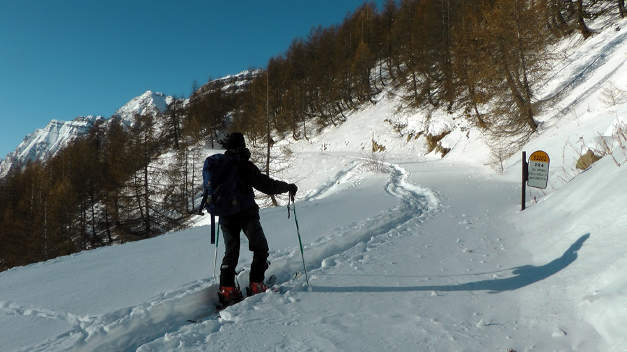 #3 2000m : Domi dépasse les bornes aujourd 2000m : Domi dépasse les bornes aujourd'hui !